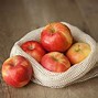 Image result for Types of Apple Trees
