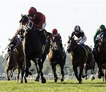 Image result for San Anita Horse Race