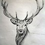 Image result for Animal Character Drawing