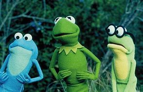 Image result for Kermit Evil Twin