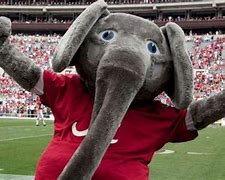 Image result for Alabama Football Mascot