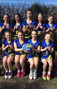 Image result for What Is an VNA School Netball