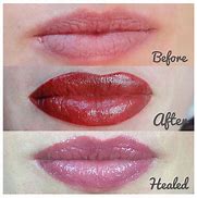 Image result for Permanent Makeup Lip Colors