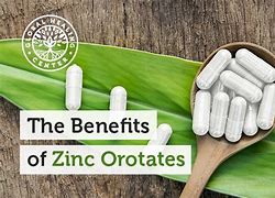 Image result for Zinc and Copper Orotate