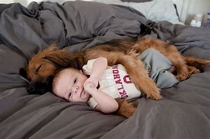 Image result for Adorable Animal and Childredn Pics