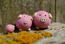 Image result for Accessories for Tiny Pig Toys