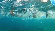 produzione bicchieri plastica piatti plastica e bicchieri divieto d uso dal 2021 la produzione bicchieri plastica piatti plastica e bicchieri divieto d uso dal 2021 la