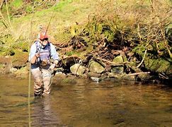 Image result for Stream Fishing