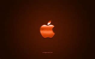Image result for Apple Store Metal