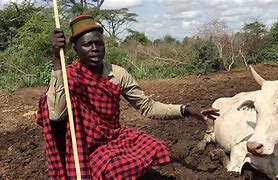 Image result for Cattle Keepers Tribes in Uganda