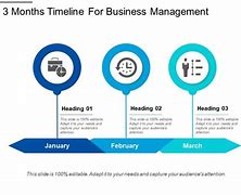 Image result for 3 Month Project Timeline Template