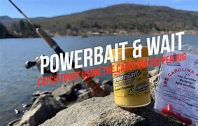 Image result for PowerBait Trout Fishing Rig