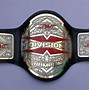 Image result for Wrestling Gold Belts