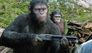 Image result for Ceasar Ape Meme