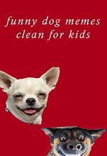 Image result for Dog Memes for Kids
