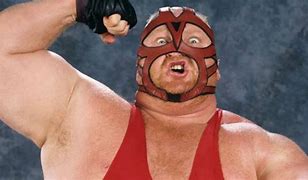 Image result for Red Wrestling Mask