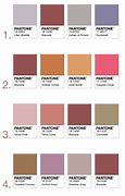 Image result for Rose Gold Pantone