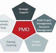 Image result for Setting Up a PMO