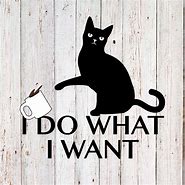 Image result for I Do What I Want Logo
