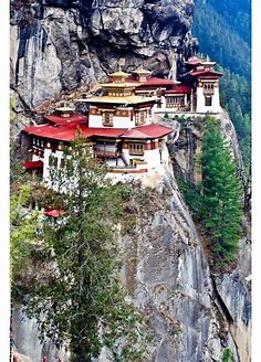 Chinese Buddhist Monestary | Incredible places, Places to travel, Beautiful places
