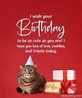Image result for Cat Puns for Birthday
