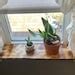 Image result for Window Sill Shelf