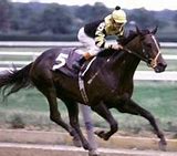 Image result for Seattle Slew Horse