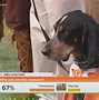 Image result for Smokey Tennessee Mascot