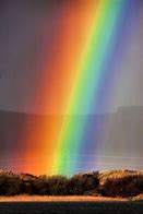 Image result for Unique Rainbows
