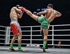 Image result for Muay Thai Boxing Stance