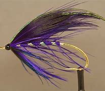 Image result for Fishing Flies Clip Art