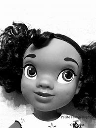 Image result for Tiana Doll Disney