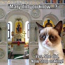 Image result for Kitty Church Memes