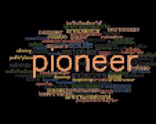 Image result for Pioneer Sentence