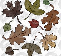 Image result for Dead Leaves Drawing