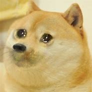 Image result for Funny Crying Dog Meme