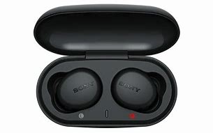 Image result for Sony Earbuds for iPod