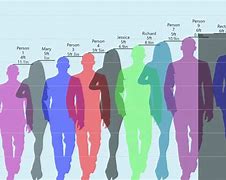 Image result for Human Compared to 29 Inches