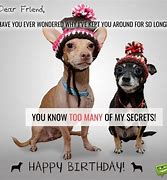 Image result for Best Friend Birthday Meme