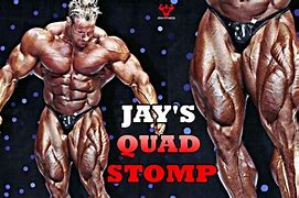 Image result for Jay Cutler Stomp
