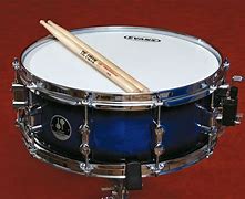 Image result for Drum Family Instruments
