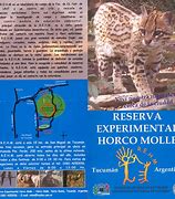 Image result for horco