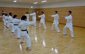 Image result for Okinawa Karate Kaikan