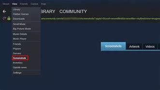 Image result for Where Are Steam Screenshots Saved
