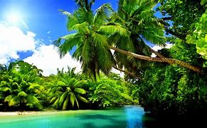 Image result for Tropical 4K Wallpaper Animated