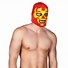 Image result for Wrestling Face Mask