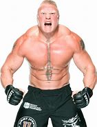 Image result for Pics of Brock Lesnar