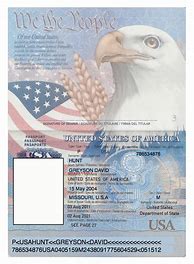 Image result for Blank United States Passport Template