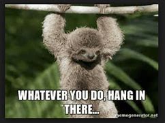 Image result for Hang in There Classic Meme
