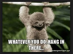 Image result for Fun Hang in There Meme